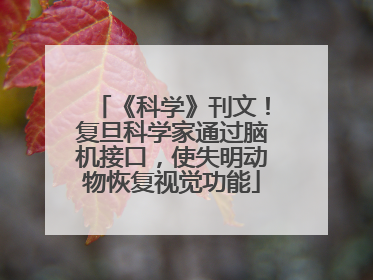 《科学》刊文！复旦科学家通过脑机接口，使失明动物恢复视觉功能