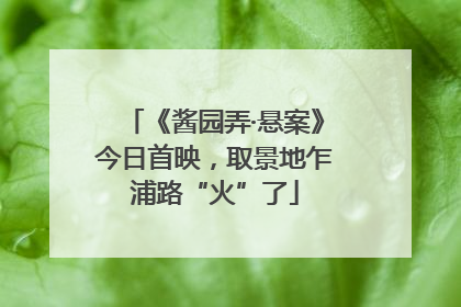 《酱园弄·悬案》今日首映，取景地乍浦路“火”了