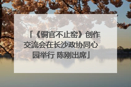 《铜官不止窑》创作交流会在长沙政协同心园举行 陈刚出席
