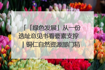 「绿色发展」从一份选址意见书看要素支撑｜铜仁自然资源部门精准服务助力项目落地