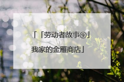 「劳动者故事⑨」我家的金雁商店