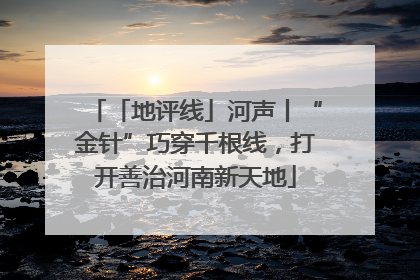 「地评线」河声丨“金针”巧穿千根线，打开善治河南新天地