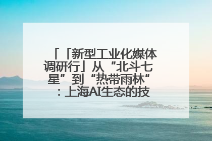 「新型工业化媒体调研行」从“北斗七星”到“热带雨林”：上海AI生态的技术商业共生密码