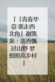 「青春华章·重走西北角」谢凯龙：茶香飘过山野 梦想照亮乡村
