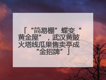“简易棚”蝶变“黄金屋”，武汉黄陂火塔线瓜果售卖亭成“金招牌”