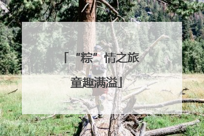 “粽”情之旅 童趣满溢