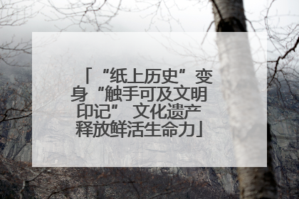 “纸上历史”变身“触手可及文明印记” 文化遗产释放鲜活生命力