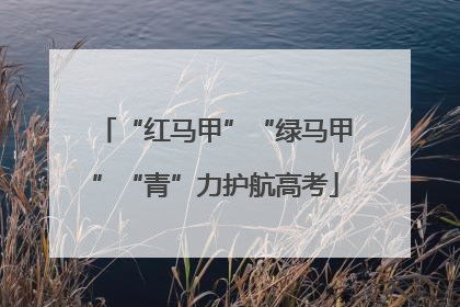 “红马甲”“绿马甲”“青”力护航高考