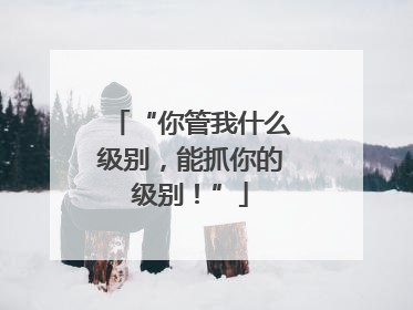 “你管我什么级别，能抓你的级别！”