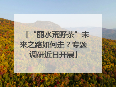 “丽水荒野茶”未来之路如何走？专题调研近日开展