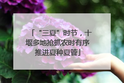 “三夏”时节，十堰多地抢抓农时有序推进夏种夏管
