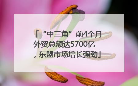 “中三角”前4个月外贸总额达5700亿，东盟市场增长强劲