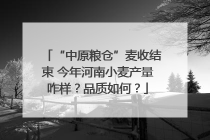 “中原粮仓”麦收结束 今年河南小麦产量咋样？品质如何？