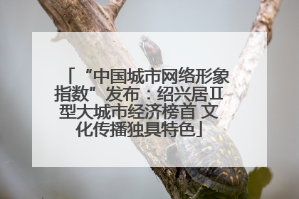 “中国城市网络形象指数”发布：绍兴居Ⅱ型大城市经济榜首 文化传播独具特色