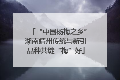 “中国杨梅之乡”湖南靖州传统与新引品种共绽“梅”好