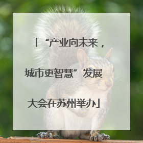 “产业向未来，城市更智慧”发展大会在苏州举办