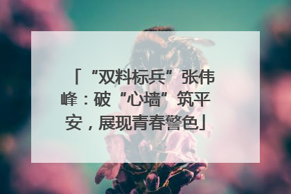 “双料标兵”张伟峰：破“心墙”筑平安，展现青春警色