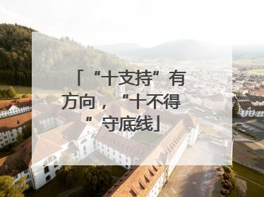 “十支持”有方向，“十不得”守底线
