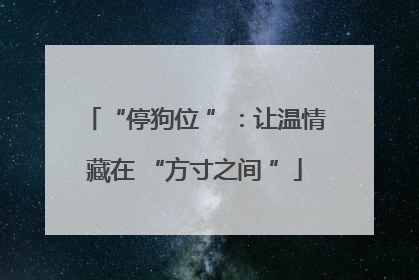 “停狗位 ”：让温情藏在 “方寸之间 ”