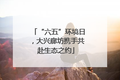 “六五”环境日，大兴廊坊携手共赴生态之约