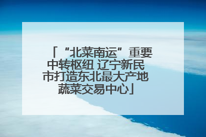 “北菜南运”重要中转枢纽 辽宁新民市打造东北最大产地蔬菜交易中心