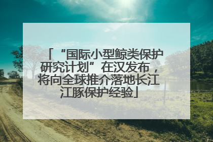 “国际小型鲸类保护研究计划”在汉发布，将向全球推介落地长江江豚保护经验