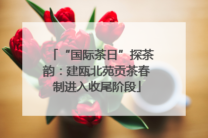 “国际茶日”探茶韵：建瓯北苑贡茶春制进入收尾阶段