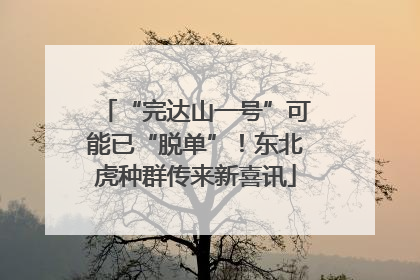 “完达山一号”可能已“脱单”！东北虎种群传来新喜讯