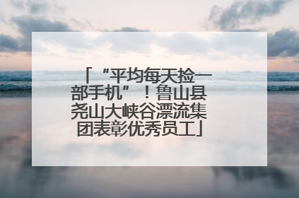 “平均每天捡一部手机”!鲁山县尧山大峡谷漂流集团表彰优秀员工