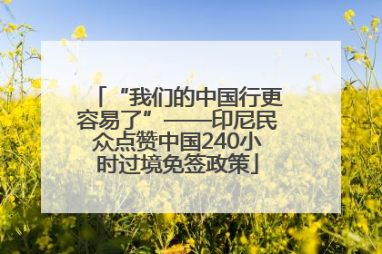 “我们的中国行更容易了”——印尼民众点赞中国240小时过境免签政策