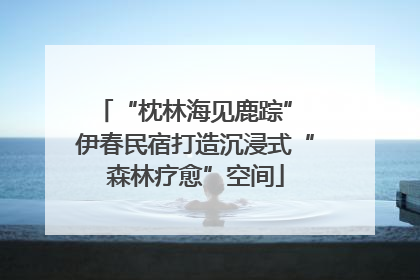 “枕林海见鹿踪” 伊春民宿打造沉浸式“森林疗愈”空间