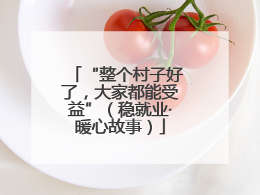 “整个村子好了，大家都能受益”（稳就业·暖心故事）