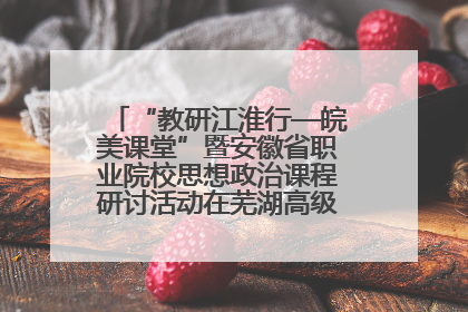 “教研江淮行—皖美课堂”暨安徽省职业院校思想政治课程研讨活动在芜湖高级职业技术学校举行