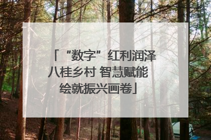 “数字”红利润泽八桂乡村 智慧赋能绘就振兴画卷