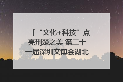 “文化+科技”点亮荆楚之美 第二十一届深圳文博会湖北馆抢“鲜”看