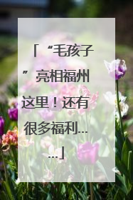 “毛孩子”亮相福州这里！还有很多福利……