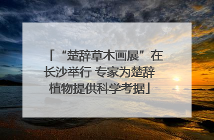 “楚辞草木画展”在长沙举行 专家为楚辞植物提供科学考据