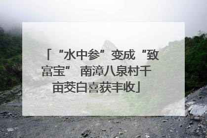 “水中参”变成“致富宝” 南漳八泉村千亩茭白喜获丰收