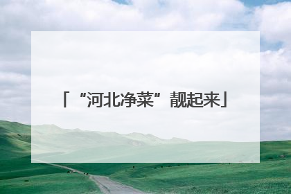 “河北净菜”靓起来