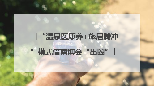“温泉医康养+旅居腾冲”模式借南博会“出圈”
