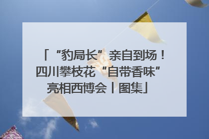 “豹局长”亲自到场！四川攀枝花“自带香味”亮相西博会丨图集