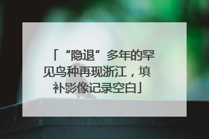 “隐退”多年的罕见鸟种再现浙江，填补影像记录空白