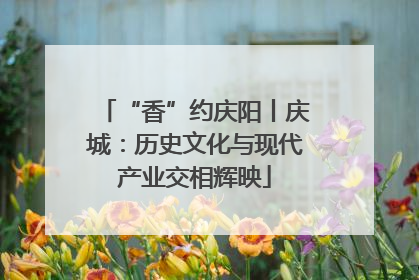 “香”约庆阳丨庆城：历史文化与现代产业交相辉映