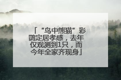 “鸟中熊猫”彩鹮定居孝感，去年仅观测到1只，而今年全家齐现身