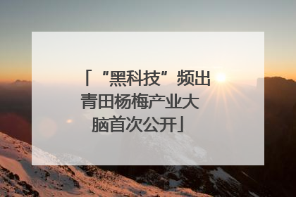 “黑科技”频出 青田杨梅产业大脑首次公开