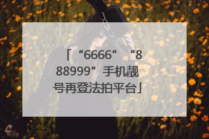 “6666”“888999”手机靓号再登法拍平台