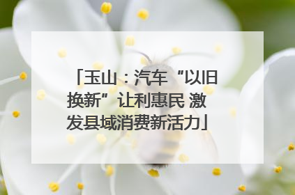 玉山：汽车“以旧换新”让利惠民 激发县域消费新活力
