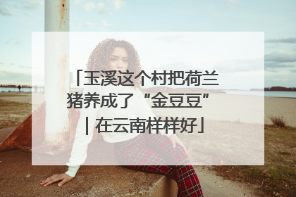 玉溪这个村把荷兰猪养成了“金豆豆”｜在云南样样好
