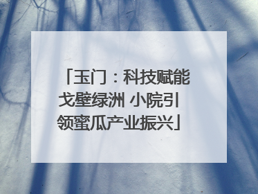 玉门：科技赋能戈壁绿洲 小院引领蜜瓜产业振兴