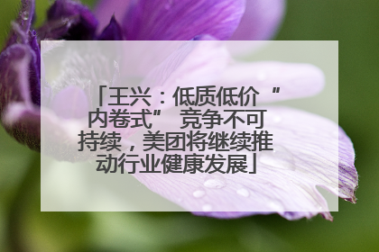 王兴：低质低价“内卷式” 竞争不可持续，美团将继续推动行业健康发展